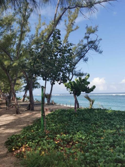 Beau T3 Litchi Vue Ocean Piscine Apartment Saint-Gilles-les Bains Luaran gambar